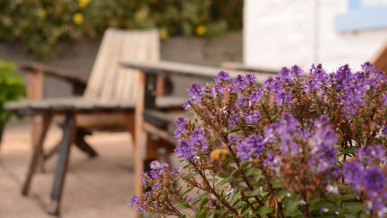 Springbank Bed & Breakfast มัลลิก ภายนอก รูปภาพ
