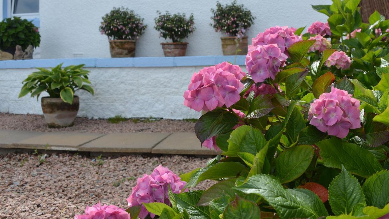 Springbank Bed & Breakfast มัลลิก ภายนอก รูปภาพ